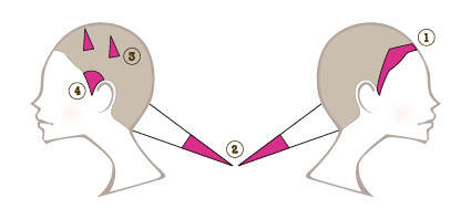 推しヘア 展開図