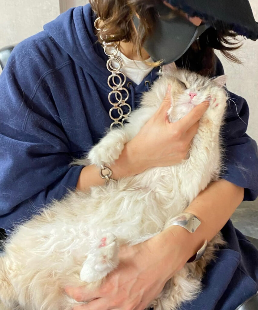 iLe.酒井元樹&サイベリアンのロジちゃん2