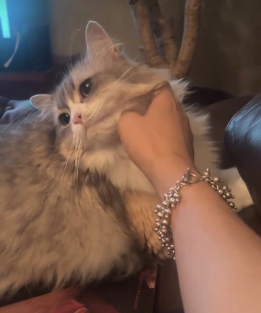 ima 04 IMG 2463 e1765540124890 853x1024