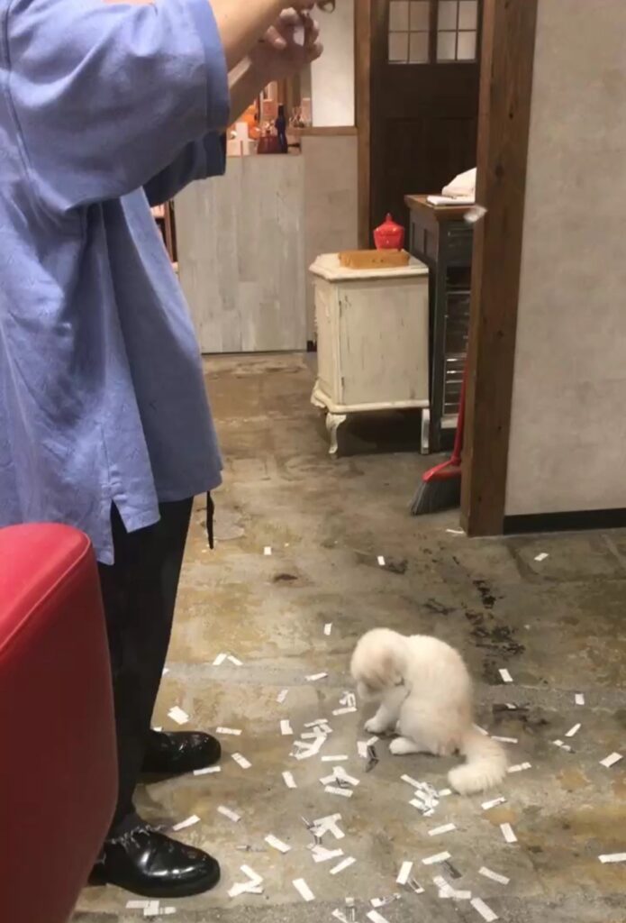 S  110575625 e1768377930783 695x1024