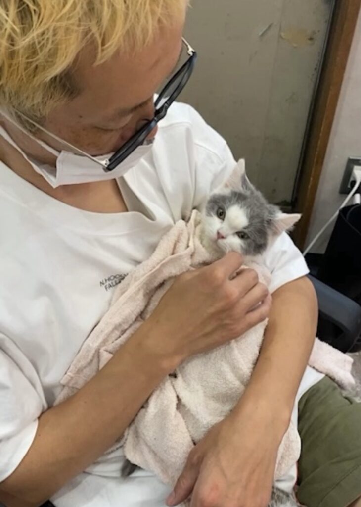 S 110575638 e1768721867478 730x1024