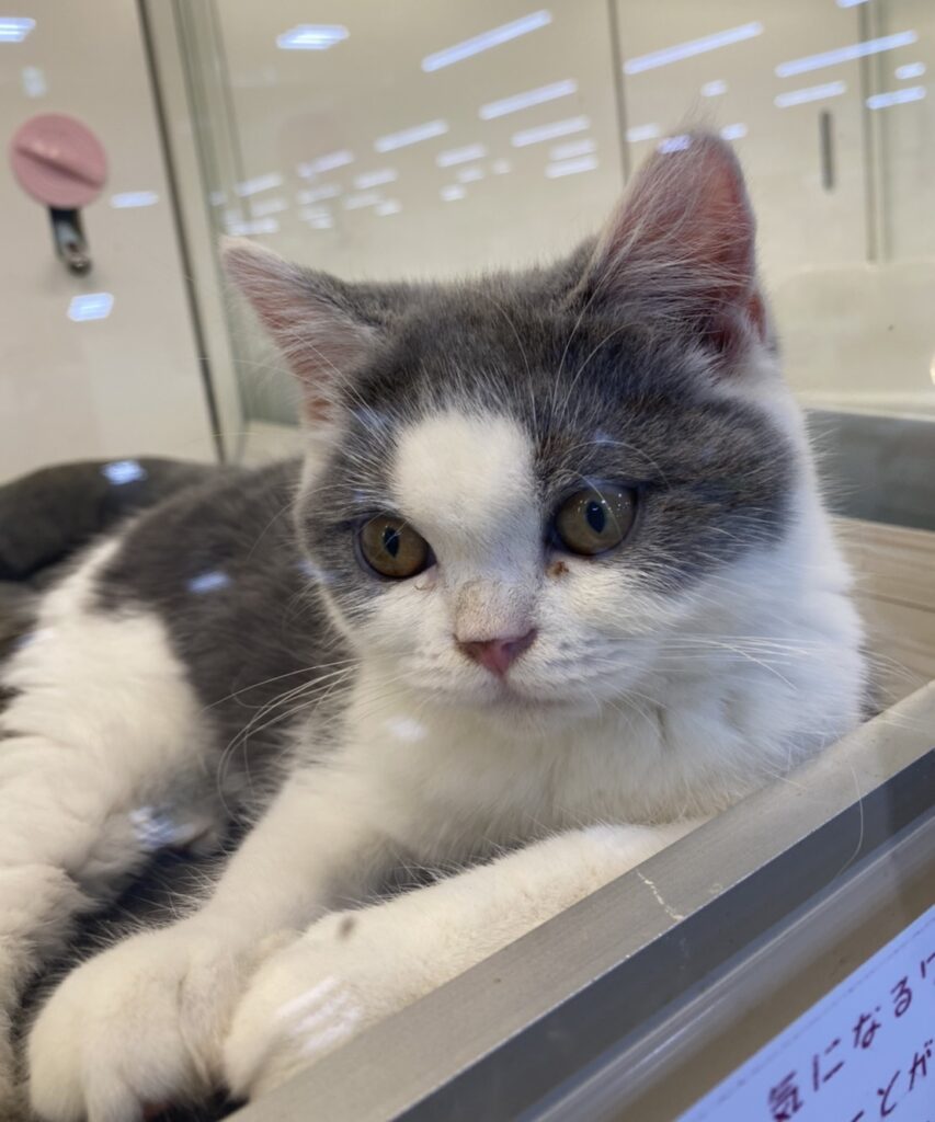 S  110739464 e1768379569775 853x1024