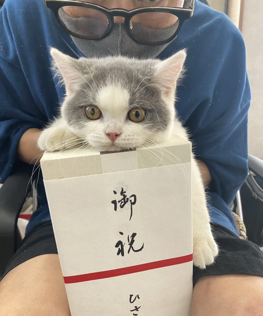 S  110739465 e1768379618694 853x1024