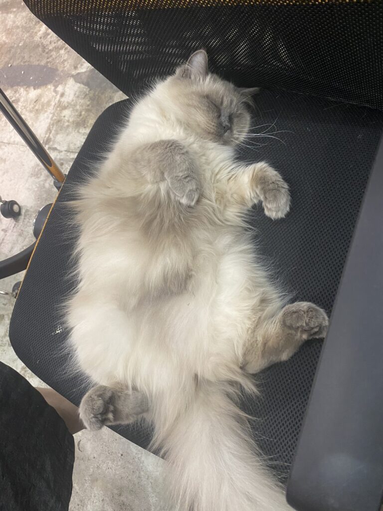 S 110739470 768x1024