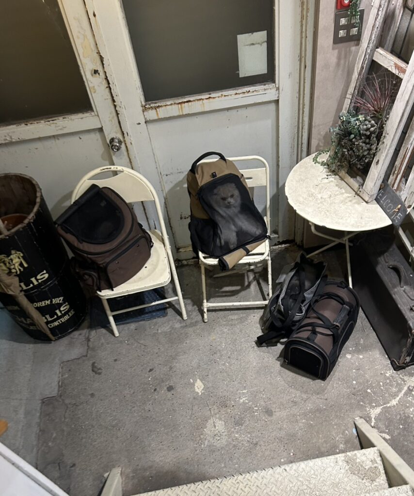 S 110739479 e1768722188831 854x1024