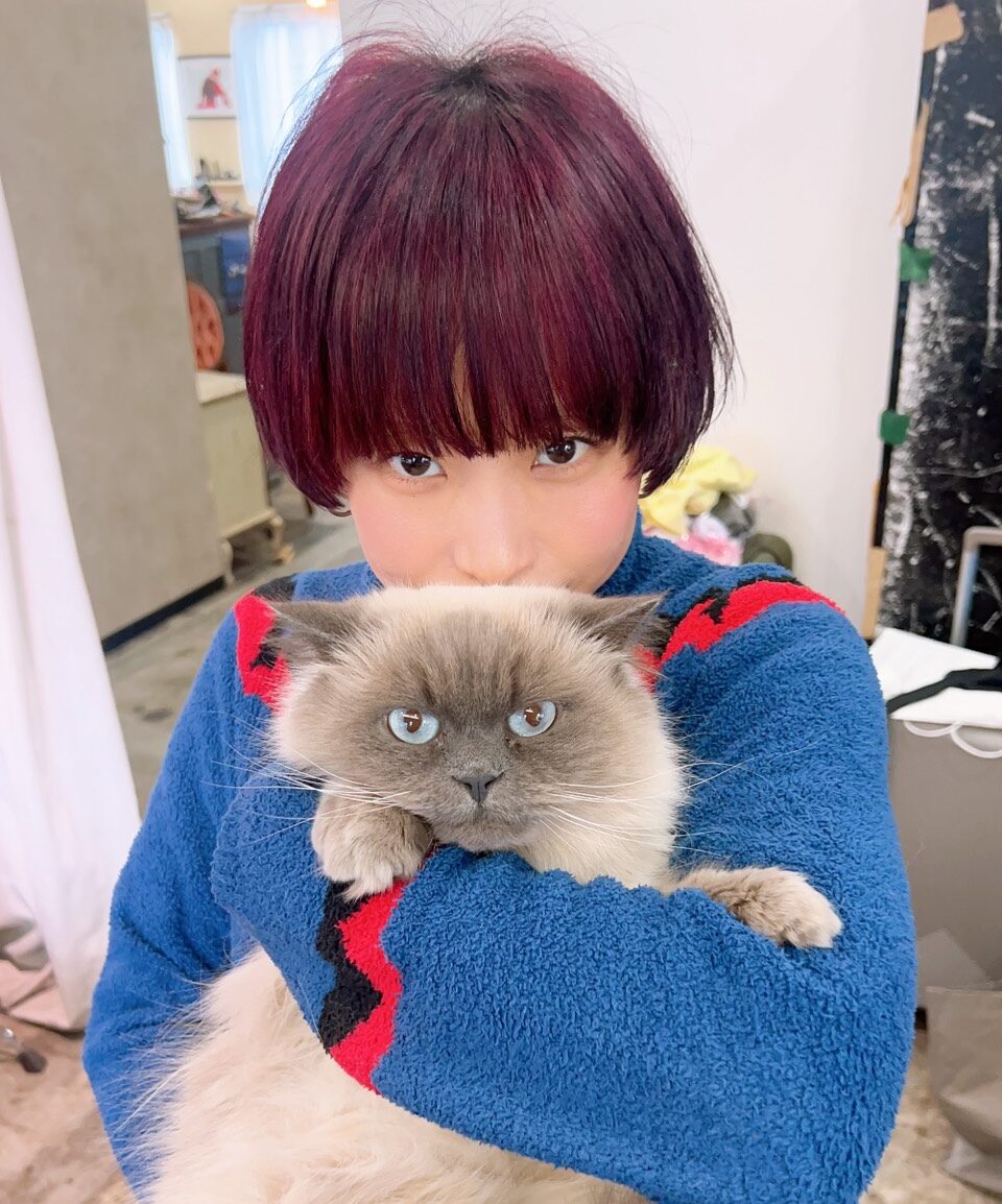 理美容師とモフモフ家族”niko hair氏川りの&4匹の猫たち編Vol.3