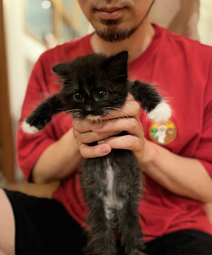 02 syoki sieti  scaled e1771220824325 853x1024