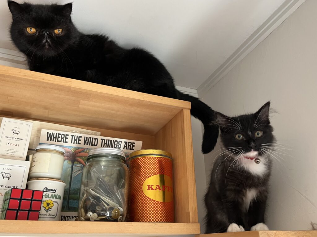 05 syoki 2hikinakayoshi 1024x768