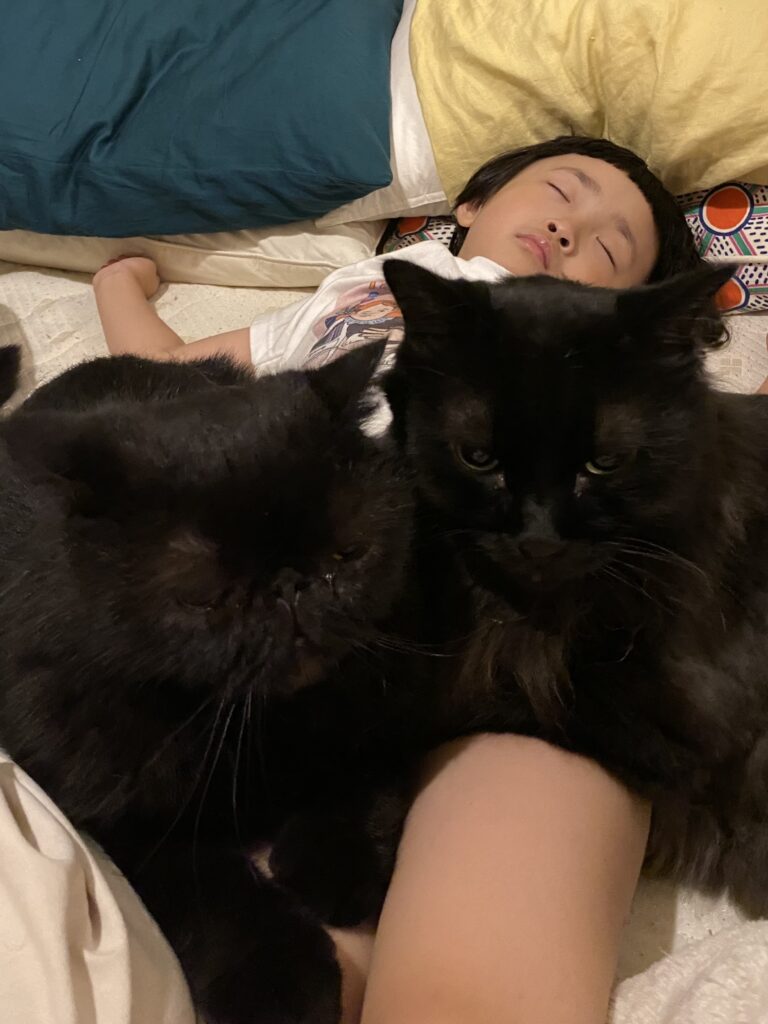 08 genzai namuru komota 768x1024