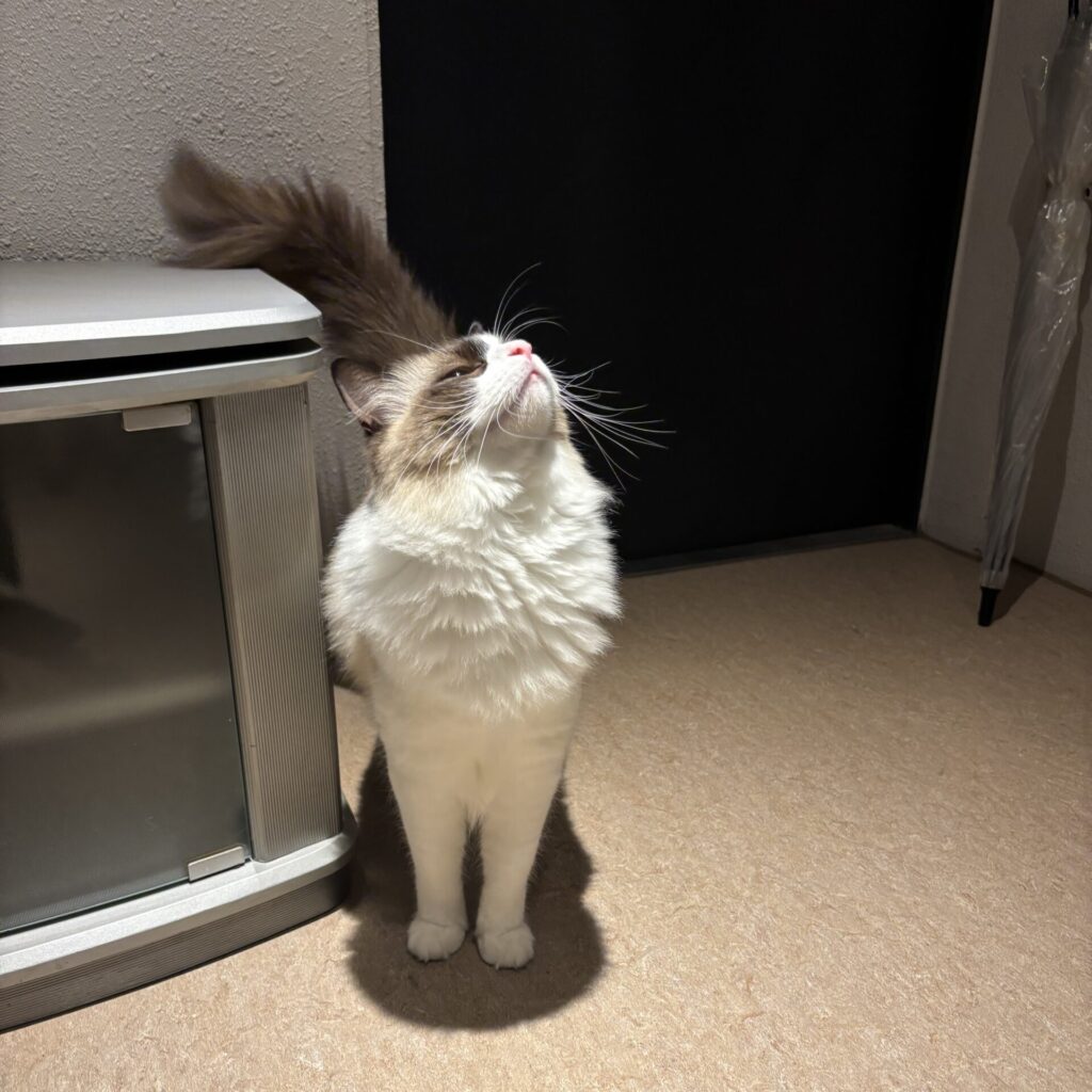 10 scaled e1770094743650 1024x1024