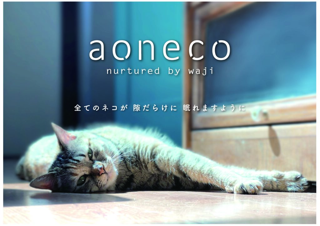 aonecoA3クラアウトライン 1024x724