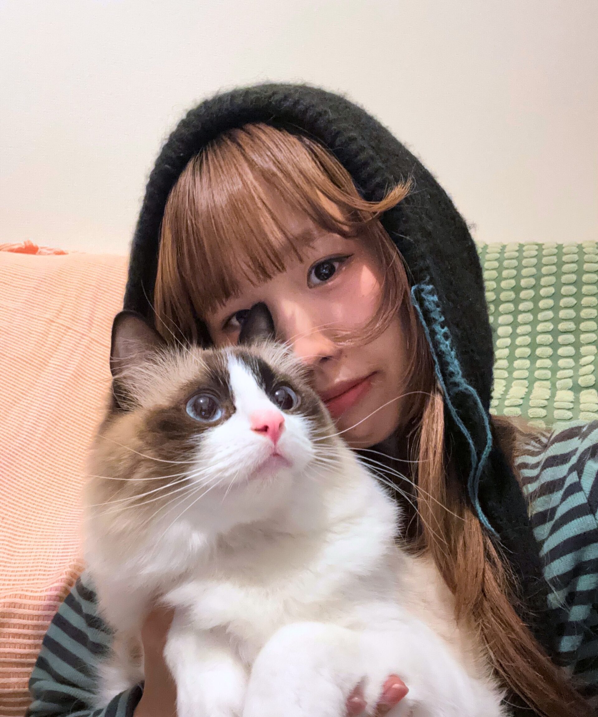 kotona 1 scaled e1770095558638