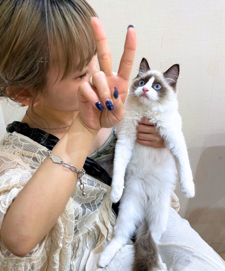 kotona 3 scaled e1770095582944 853x1024