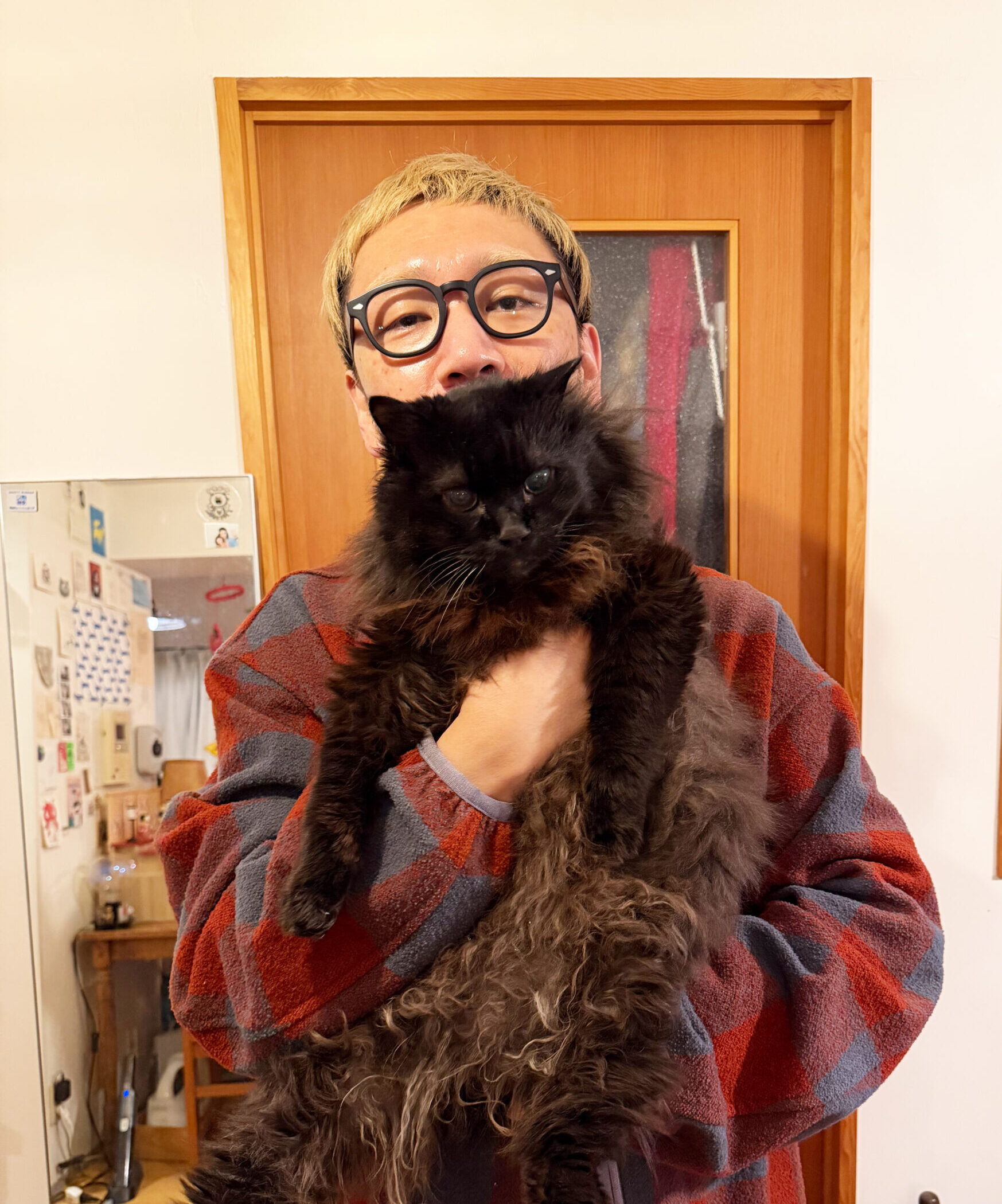 profile02 rapt anoda scaled e1771222132941