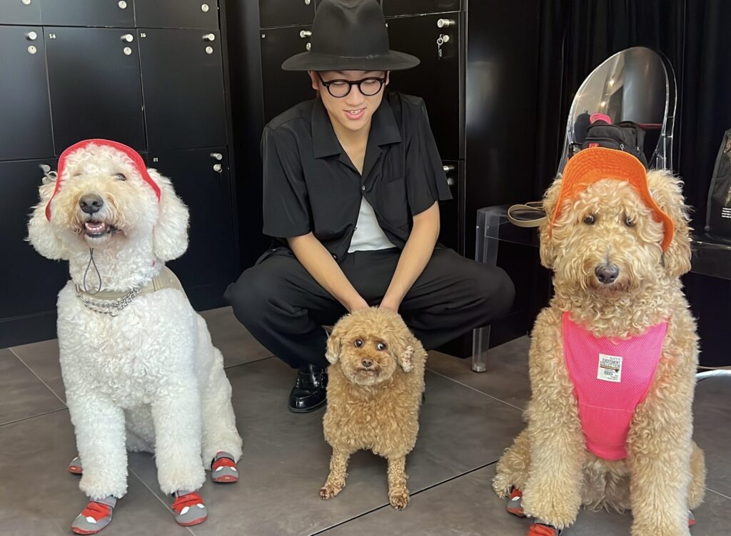 15EF9A4F 6EC5 4413 8730 448330AE629A scaled e1773659515267 1024x750