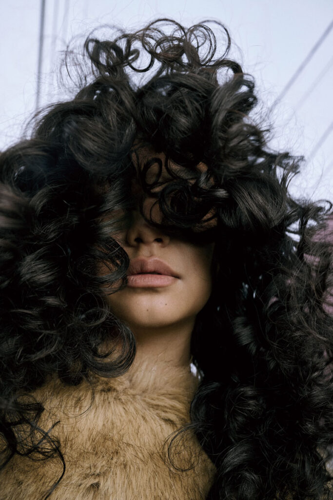 250203 PREPPY 1952 01 683x1024