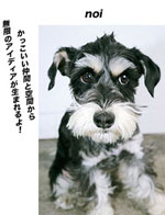 250203 PREPPY 2107 gosei