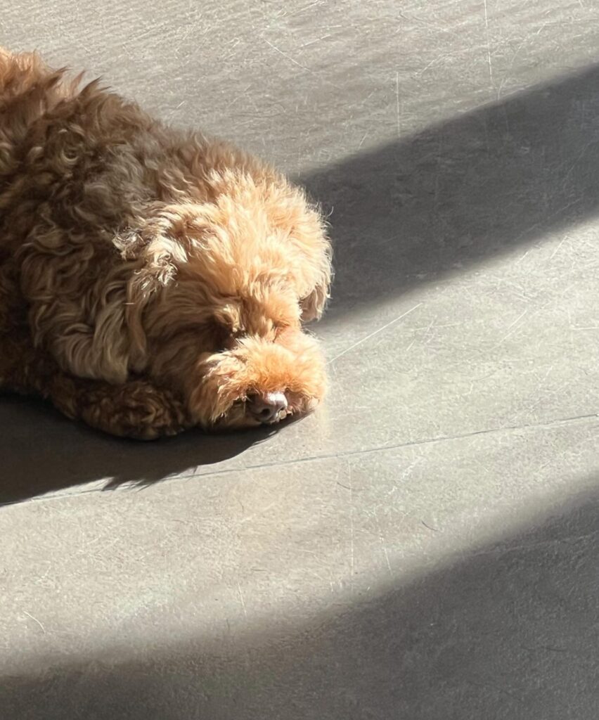 491423691 3061581107343372 5534744115644256004 n scaled e1773658432473 852x1024