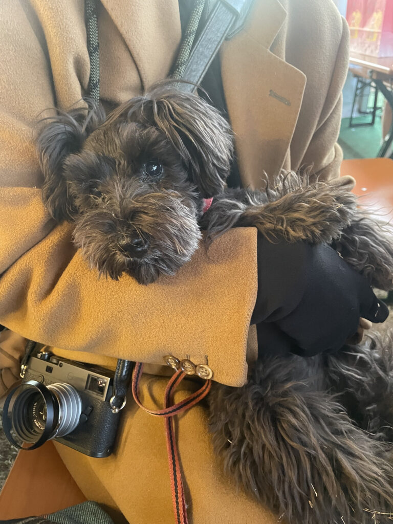 IMG 1118 鳥羽美和 768x1024