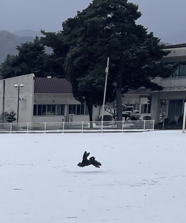 IMG 1484 鳥羽美和 e1774923668433