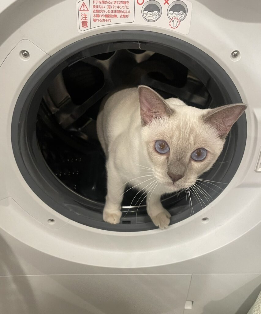 IMG 3936 江崎吉高 e1772548026777 853x1024