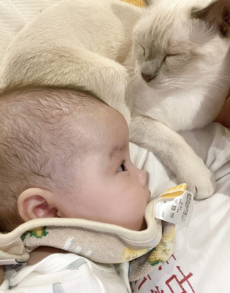 IMG 3938 江崎吉高 804x1024