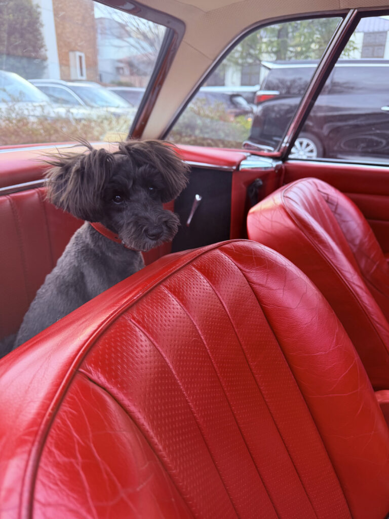 IMG 4081 鳥羽美和 768x1024