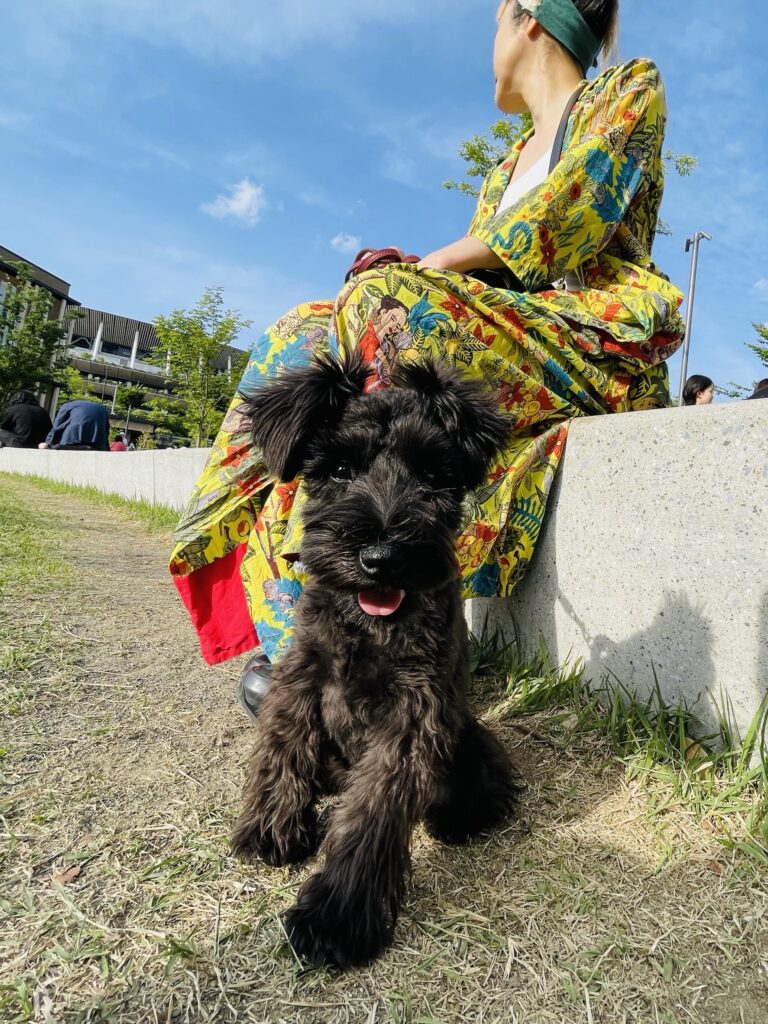 IMG 4406 鳥羽美和 768x1024