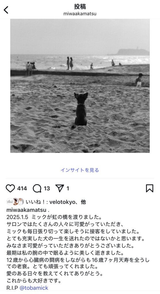 IMG 4413 e1774925392388 557x1024