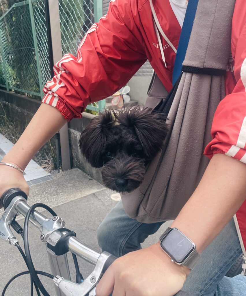 IMG 6433 VSCO 鳥羽美和 scaled e1774923449271 852x1024