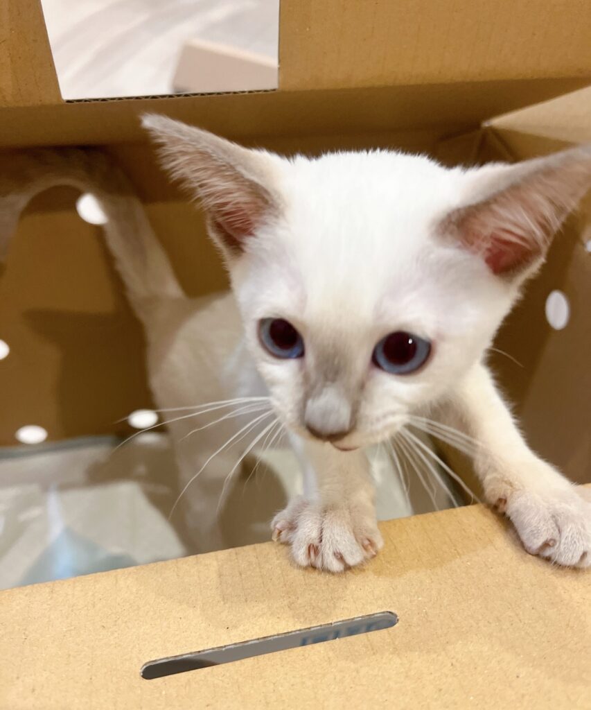 IMG 6729 江崎吉高 scaled e1772547907771 853x1024