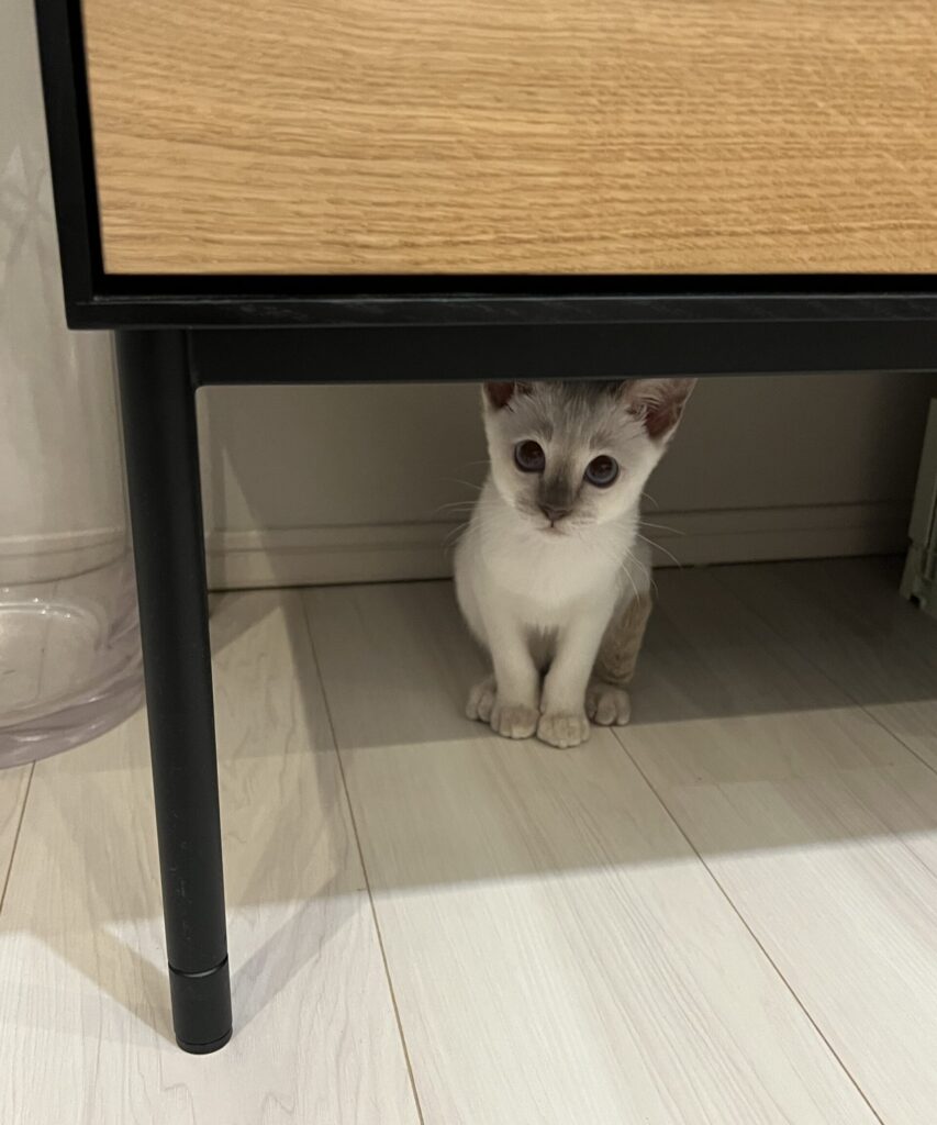 IMG 6832 江崎吉高 scaled e1772544959980 853x1024