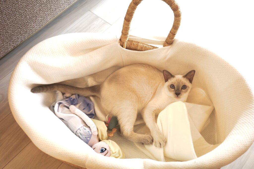 IMG 7338 江崎吉高 1024x683