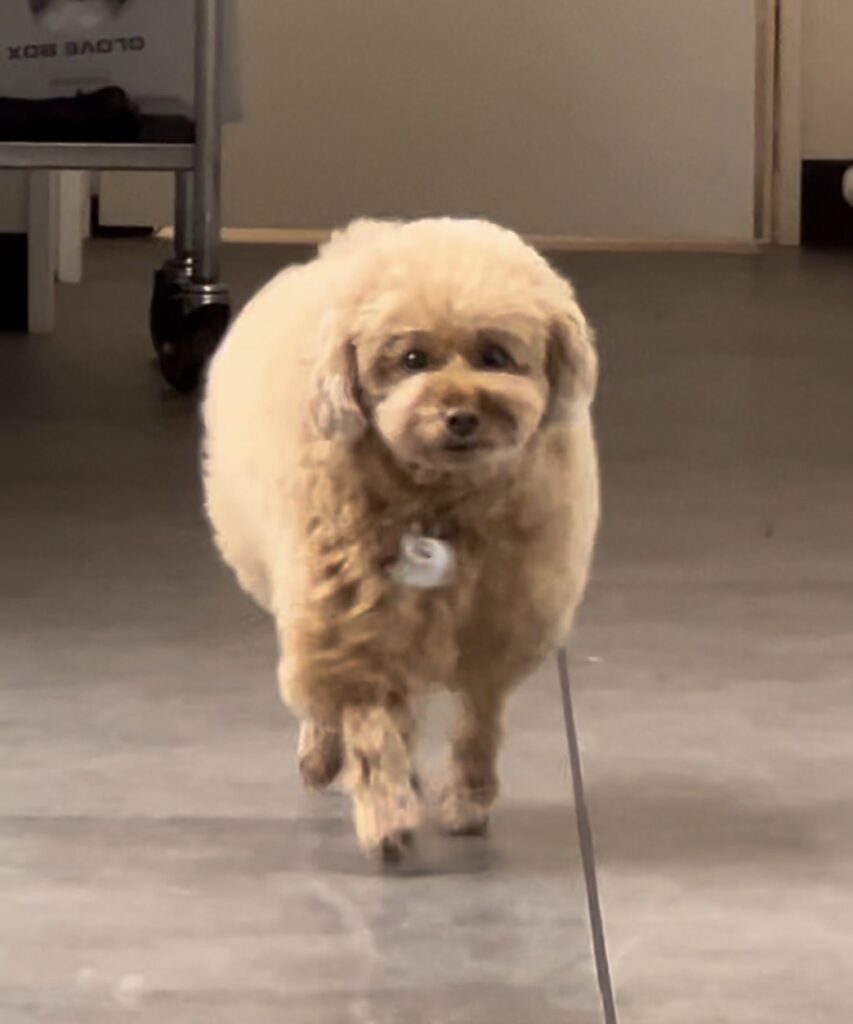 S  23175198 e1773643593763 853x1024