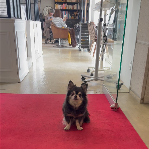 スクリーンショット 2026 03 31 104315 1 e1774921731495