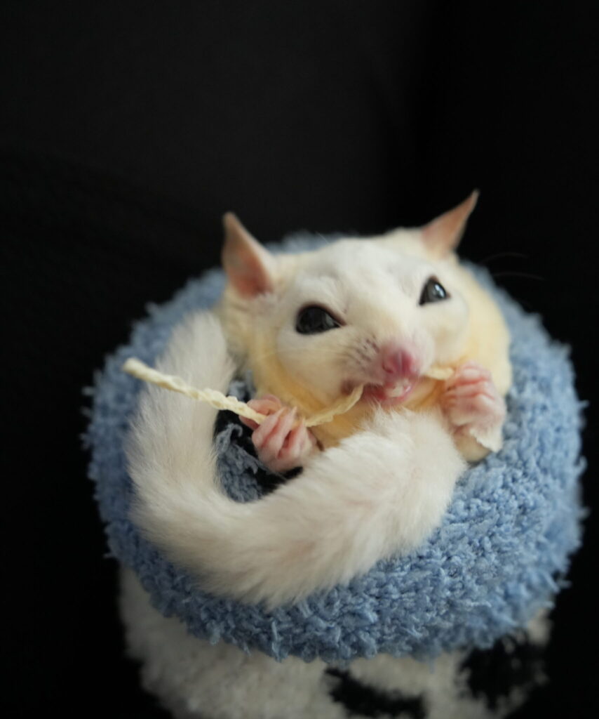 DSC08368 江藤結 scaled e1776153421713 854x1024