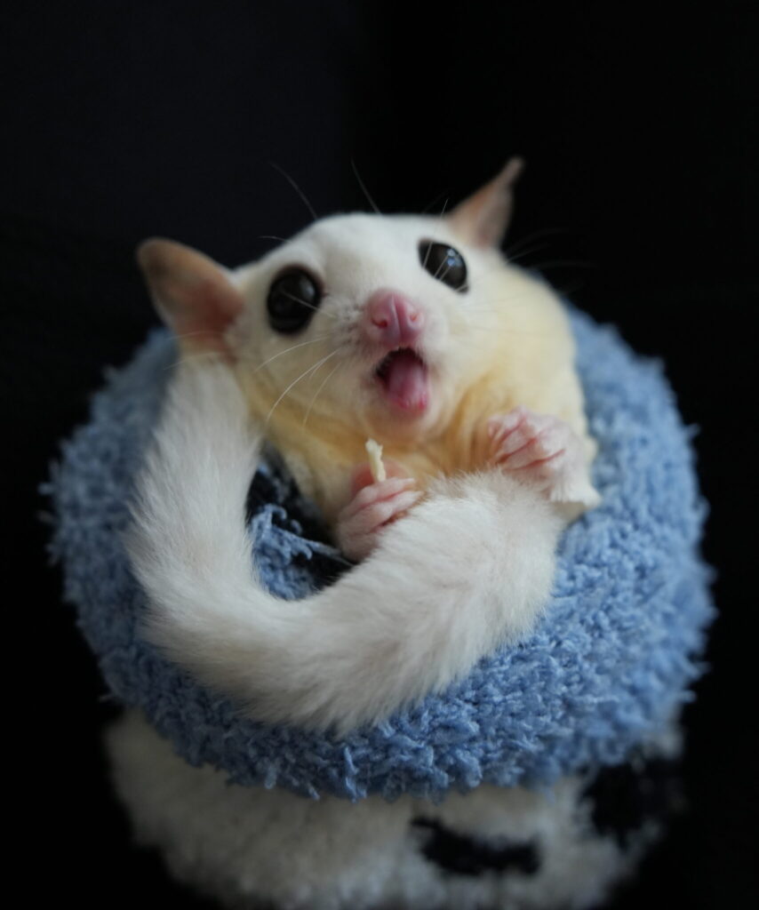 DSC08376 江藤結 scaled e1776153378990 854x1024