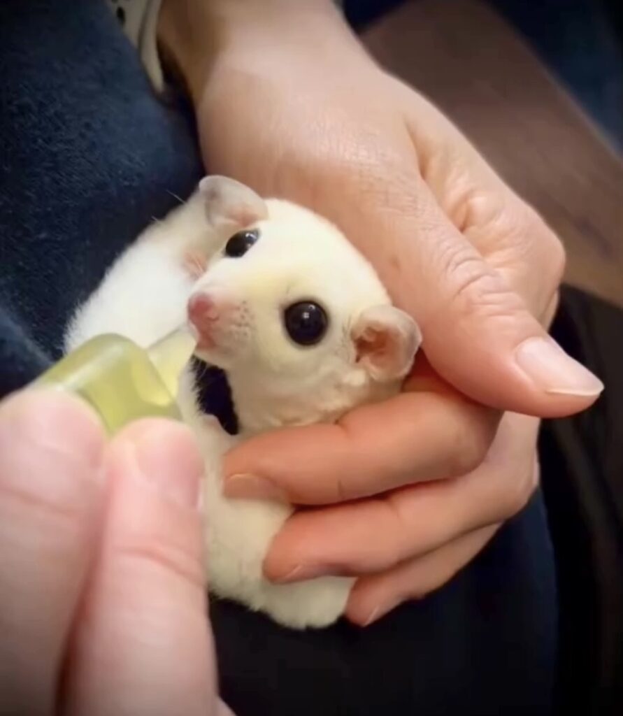 IMG 0817 江藤結 891x1024