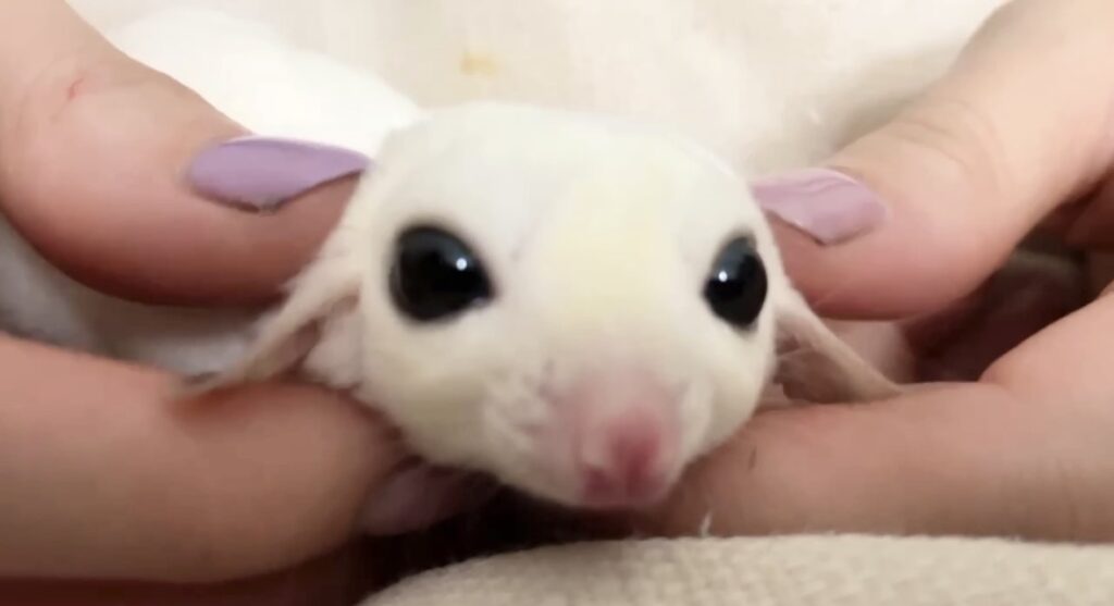 IMG 0818 江藤結 1024x557