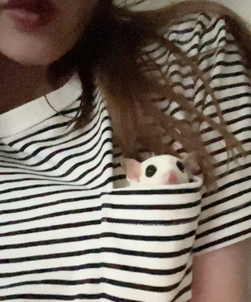 IMG 0819 江藤結 e1776152983445 852x1024