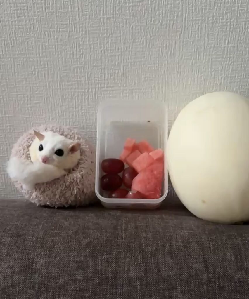 IMG 0820 江藤結 e1776153574506 852x1024