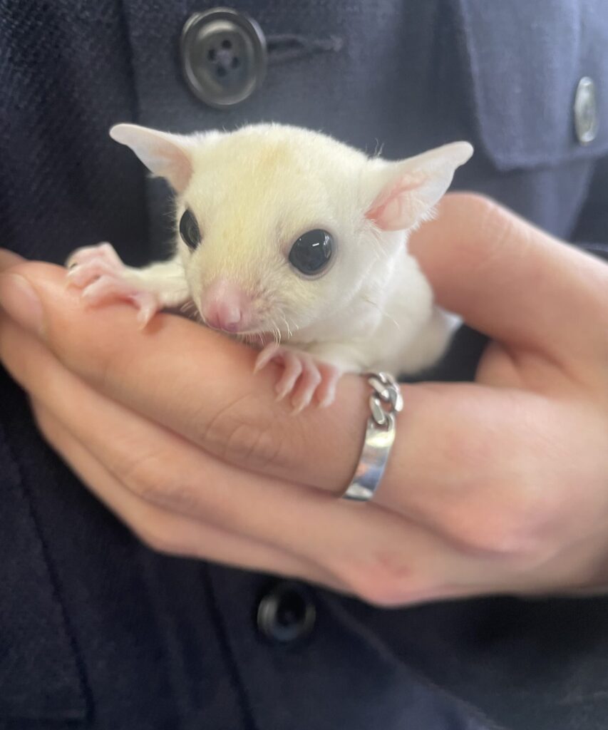 IMG 2148 江藤結 scaled e1776151387826 853x1024