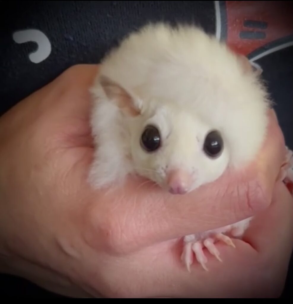 IMG 7508 江藤結 988x1024