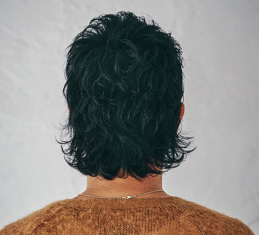 pells59156s e1775130859339