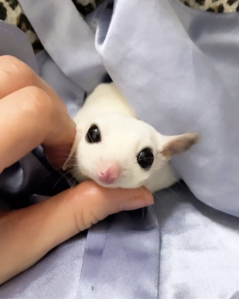 名称未設定のデザイン 819x1024