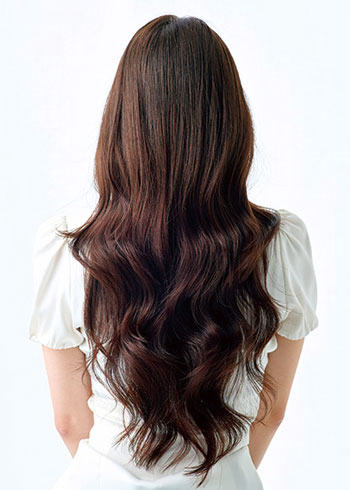 260806 PRE 0808